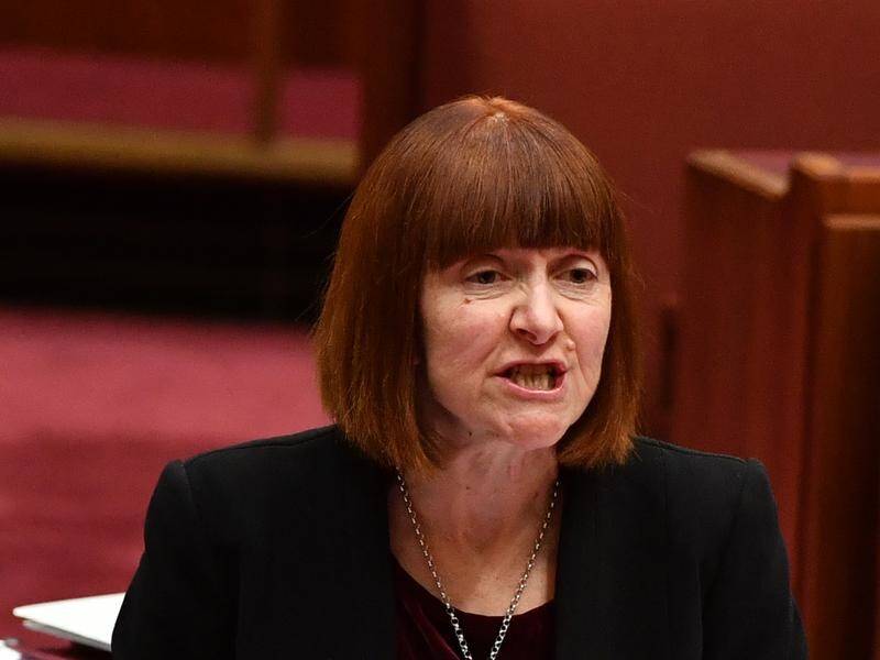 Greens Senator Rachel Siewert says the disability support payment should be increased.