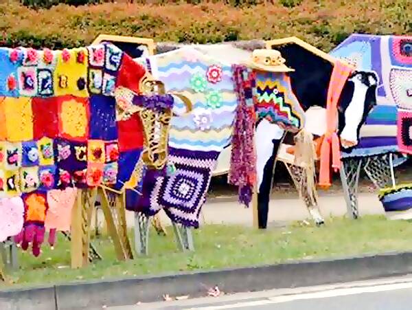 Move along with Maleny for Knitfest.