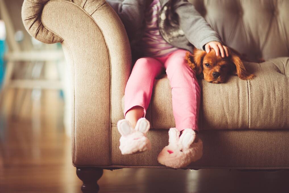 Furniture, flooring, pets? Where are asthma triggers hiding in your home?