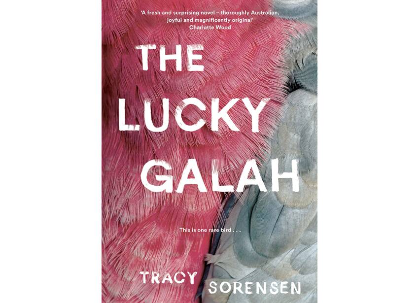The Lucky Galah, by Tracy Sorensen,