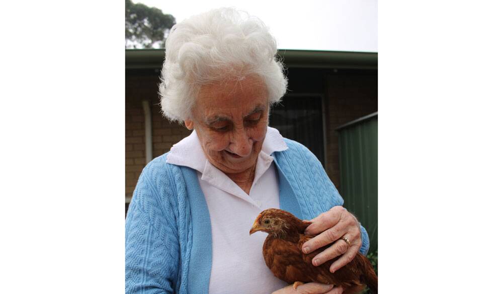 FEELING CLUCKY - Kapara resident Rhonda Fitzgerald, 92, loves to hold the four chickens who are the newest residents at the Glenelg South home.