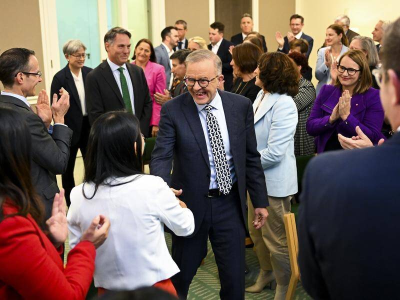 Anthony Albanese has announced his frontbench, which features a record number of women.