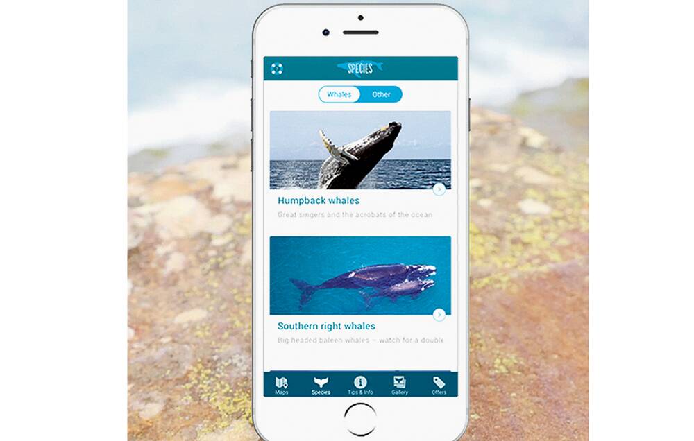 MOBY?PHONE?-  The Wild About Whales smartphone app reports the latest sightings.