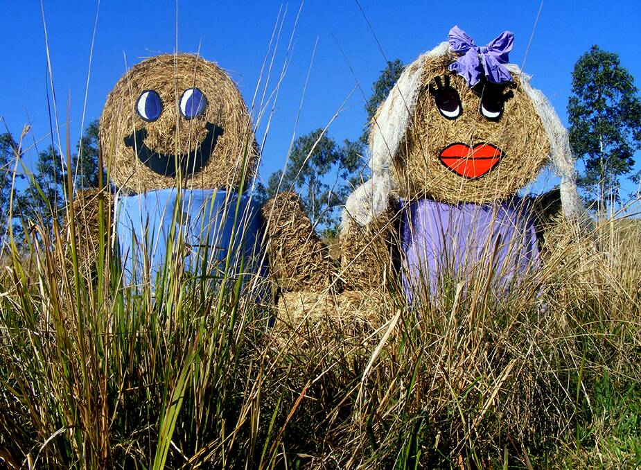CROW SPOTTING –  Hans and Claudia continue the tradition of round bale scarecrows at Imbil.