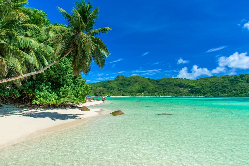 Relax in the Seychelles with The Senior and Travelrite.