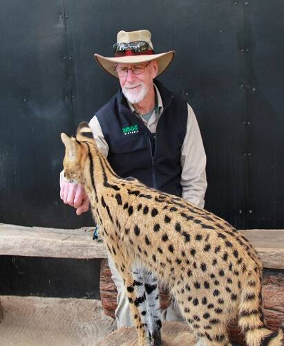 THAT’S WILD – John Holman at Werribee Open Range Zoo with Morilli the serval.