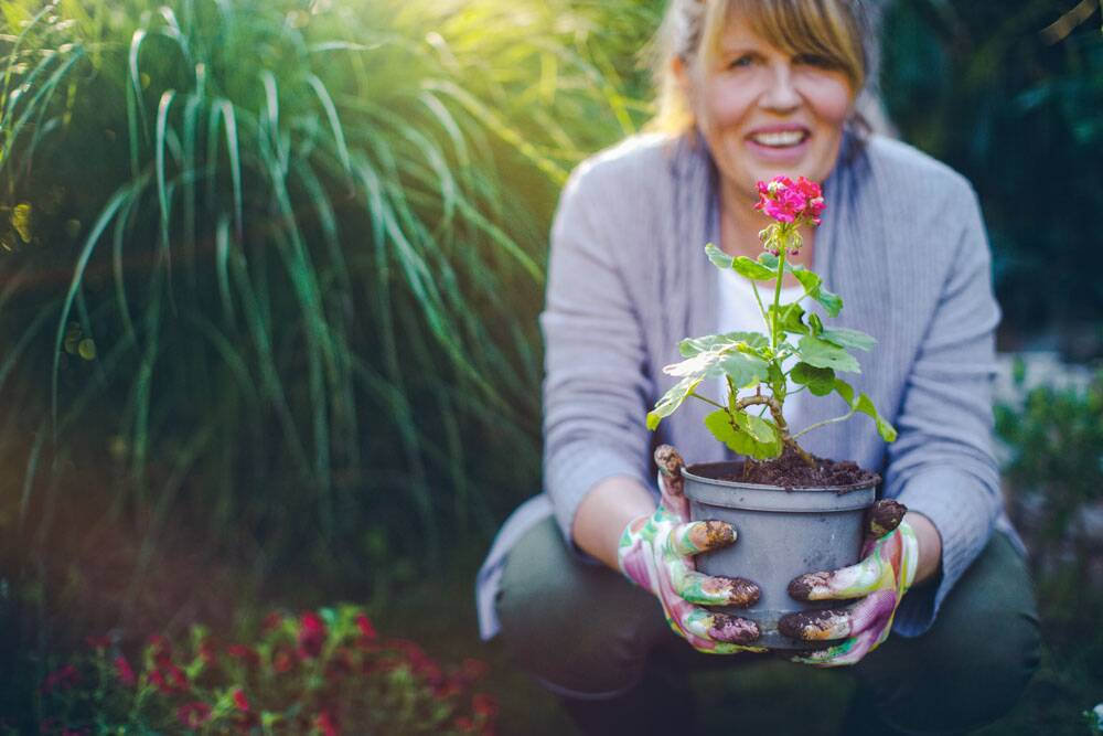 Gardening is dealing a blow to some older adults. Photo: iStock.