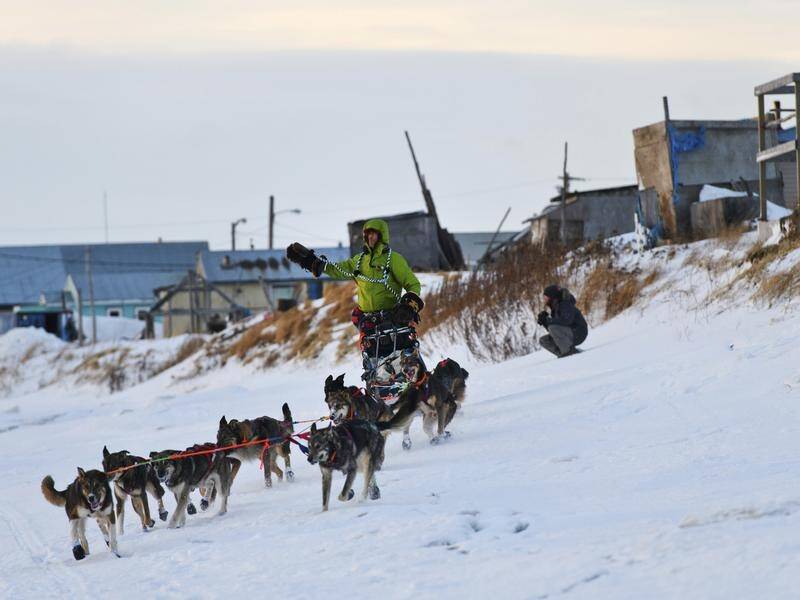 Nicolas Petit lost the Iditarod to Alaska Native Peter Kaiser after his dogs refused to run.