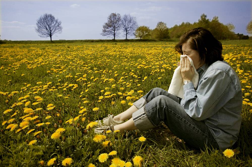 Hay fever sufferers can get help to manage their symptoms.