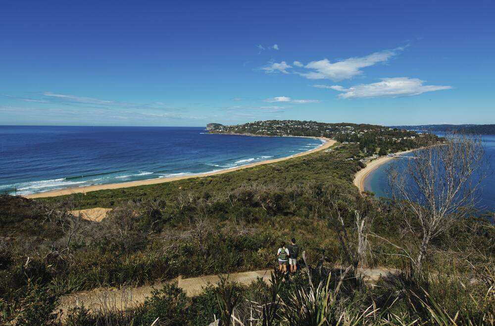 The scenic walk to Barrenjoey Lighthouse in Palm Beach. Photo: Destination NSW.