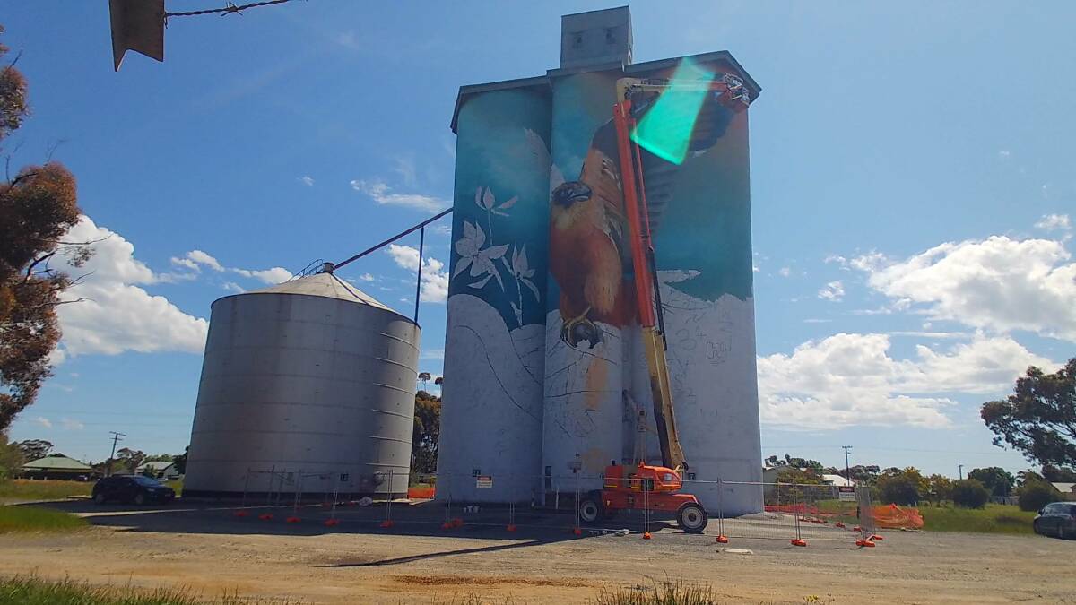 STREAMED: Images (like this one) are being streamed online every couple of minutes to bring both projects into the homes of those who are unable to witness the silo transformations in person. 