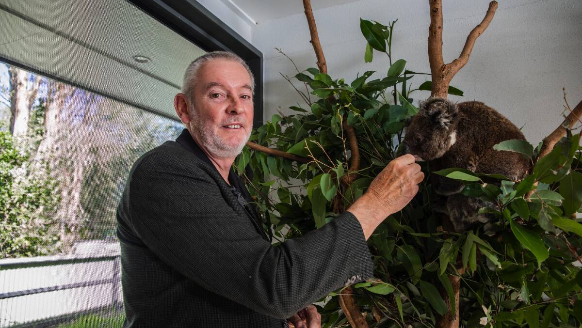 ENDANGERED: Professor Peter Timms has developed a vaccine to save koalas from chlamydia.
