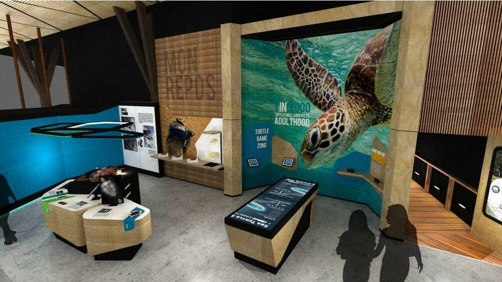 An artist impression of part of the interior of the new Mon Repos Turtle Centre.