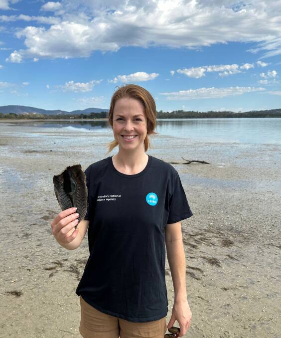 Helen O'Neill, CSIRO Australian National Fish Collection biologist, holding an egg case she has found on a beach in Hobart.