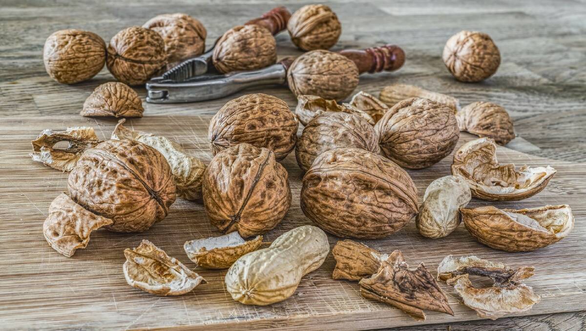 10 grams of nuts a day associated with better mental functioning. Image: Pixabay