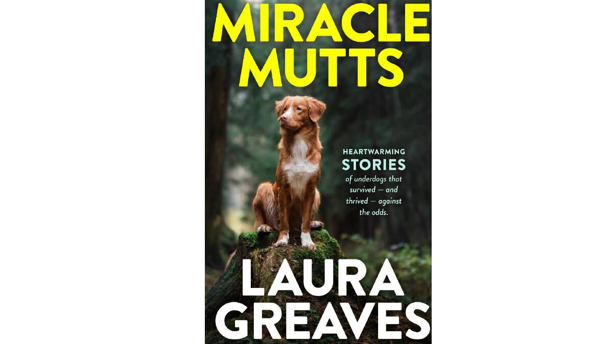 Book: Miracle Mutts