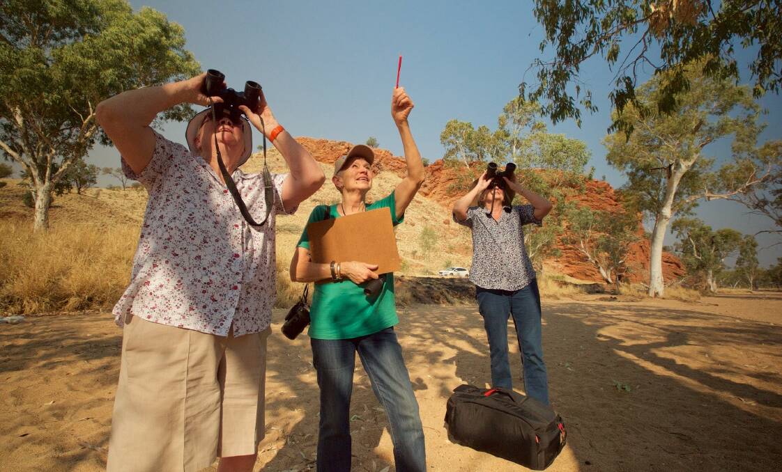 Binoculars and cameras are a must during the Red Centre Bird Festival.