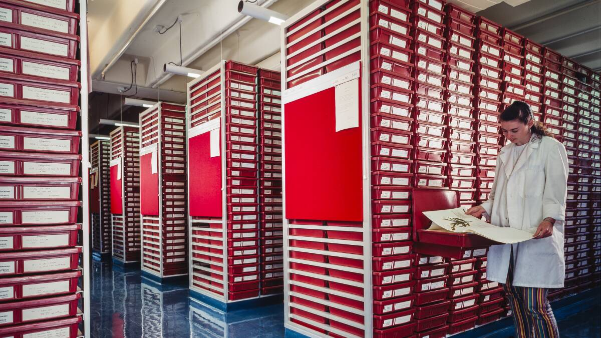 Botanic specimens are stored in climate-controlled vaults.