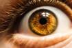 Toxoplasmosis eye disease common in Australia