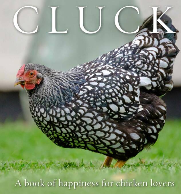 Book Review: Cluck, A book of happiness for chicken lovers