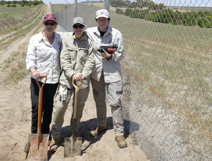A JOB WELL DONE: Monarto Safari Park volunteers L-R Anne Barnett, Jackie Roads and Janet Lowe have led a team installing 10km of feral-proof fencing.