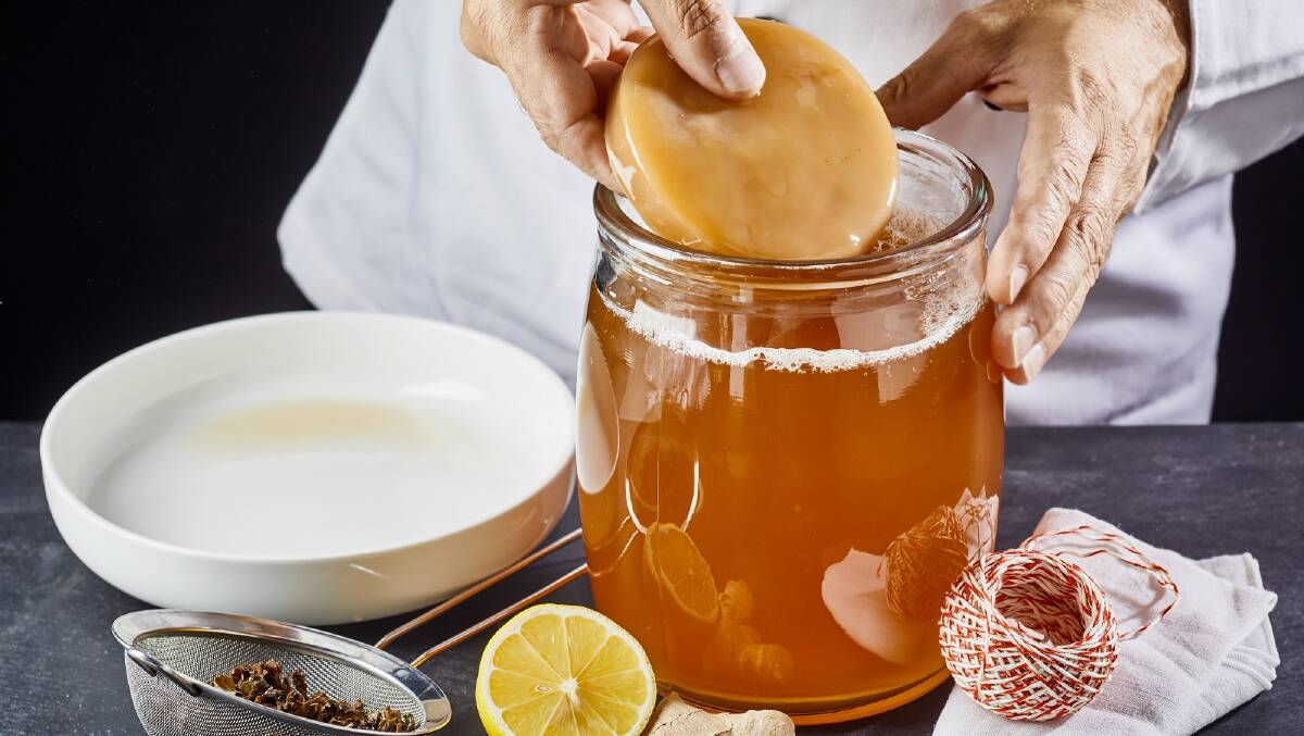 Make sure your lockdown scoby doesn't make you sick.