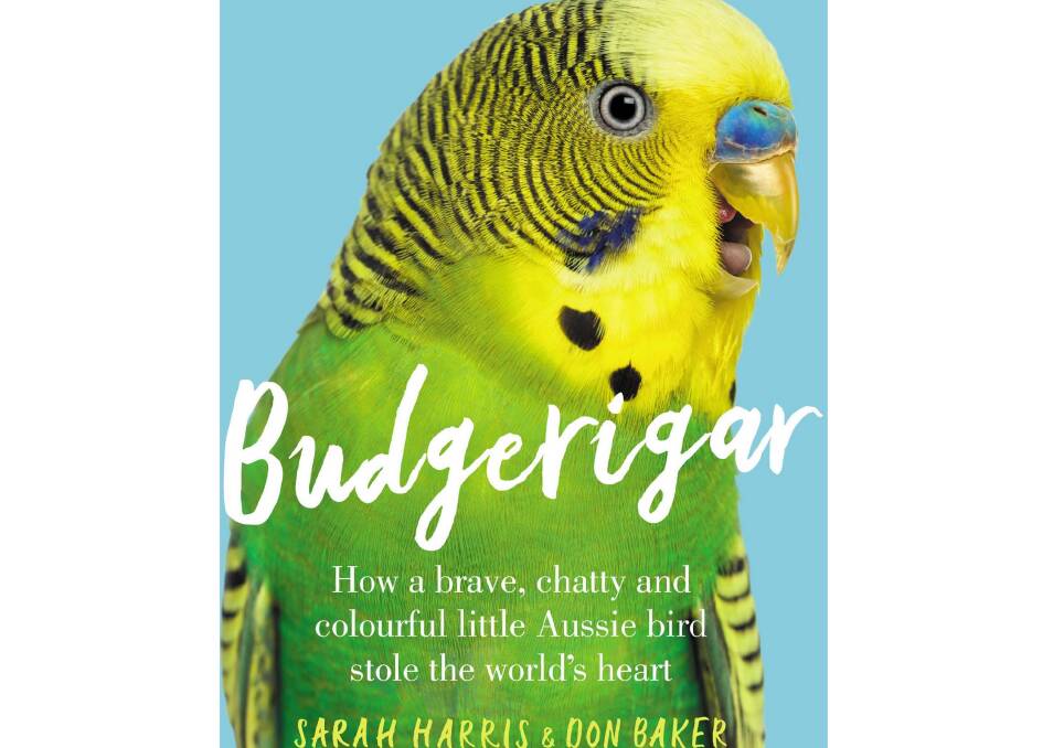 Book review: Budgerigar